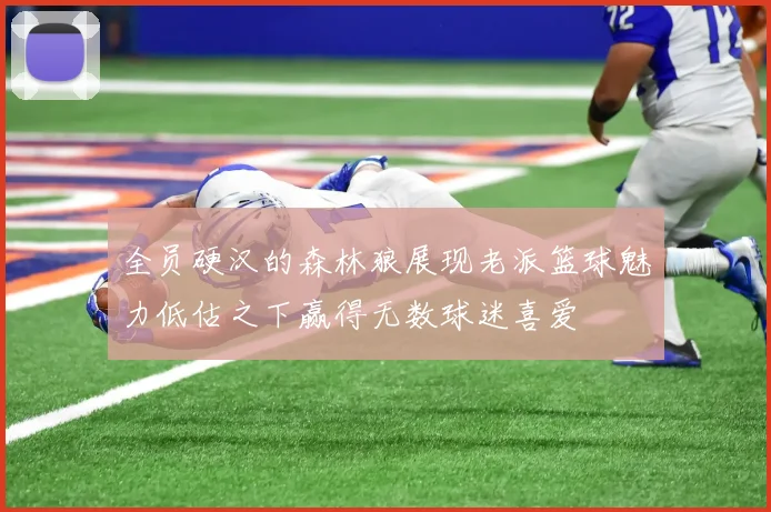 全员硬汉的森林狼展现老派篮球魅力低估之下赢得无数球迷喜爱