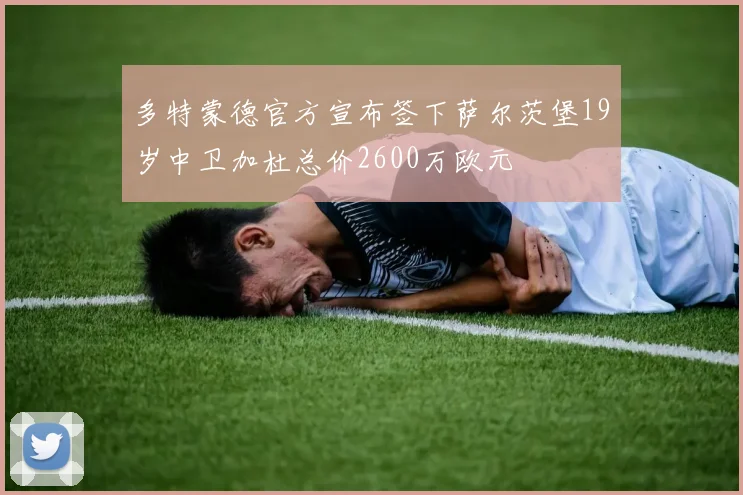 多特蒙德官方宣布签下萨尔茨堡19岁中卫加杜总价2600万欧元